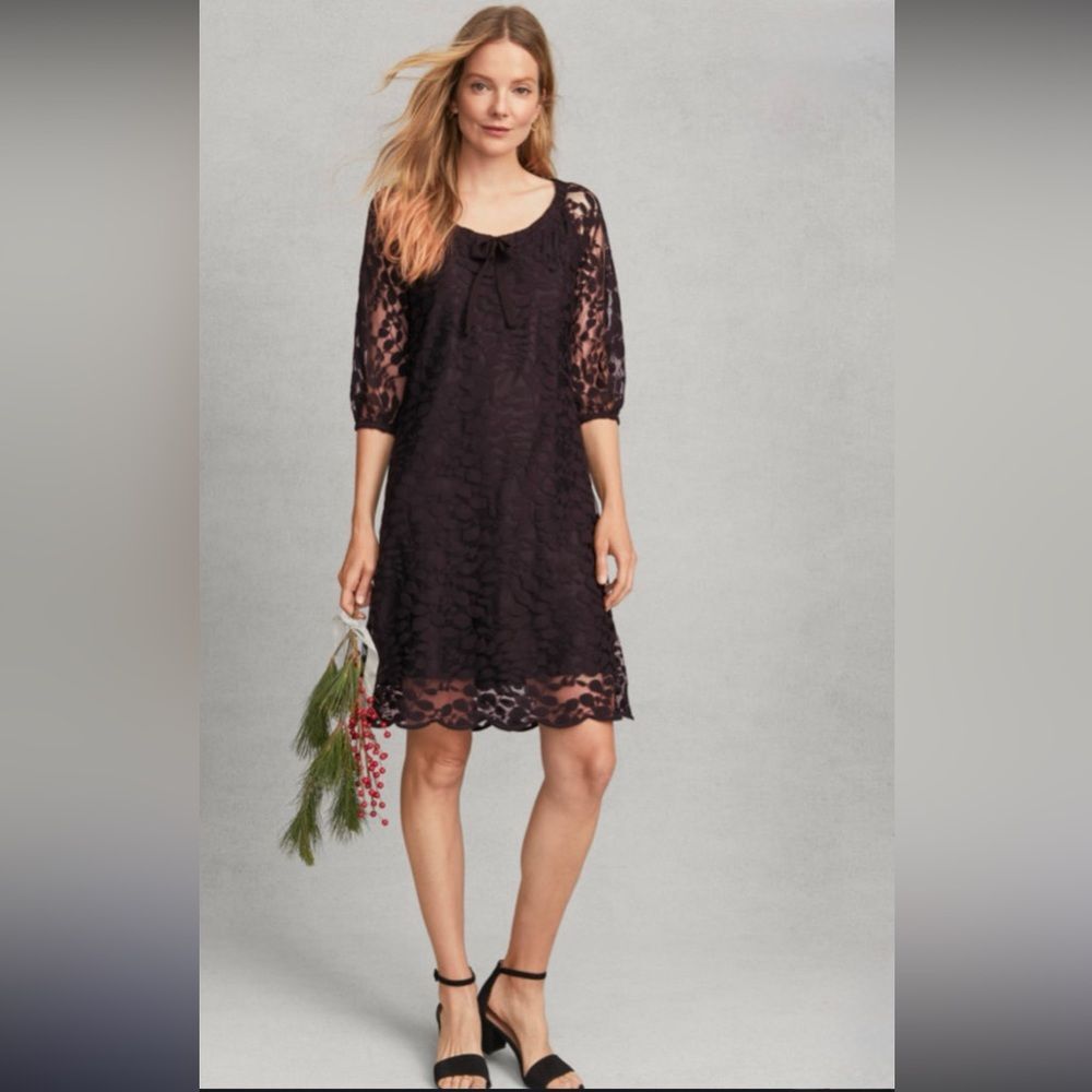 Garnet Hill Bohème Easy Lace Dress in Burgundy 4
NWOT